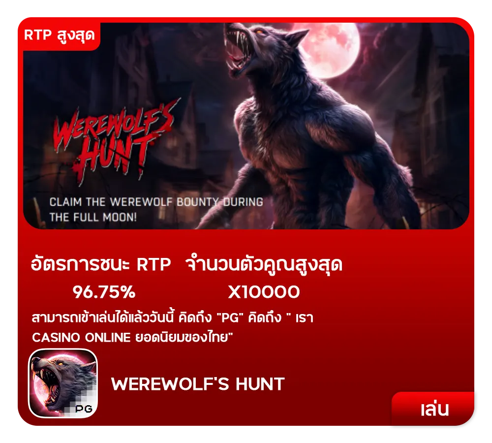 เกมPG11